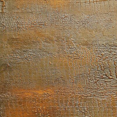 Bronze and Brass Snakeskin Venetian Plaster Wall Finish