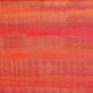 Brushed Orange Peel Venetian Plaster Wall Finish