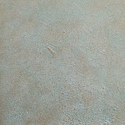 polished-plaster-architectural-wall-coatings-europe.jpg