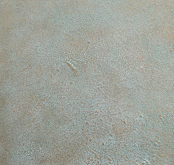 polished-plaster-architectural-wall-coatings-europe.jpg