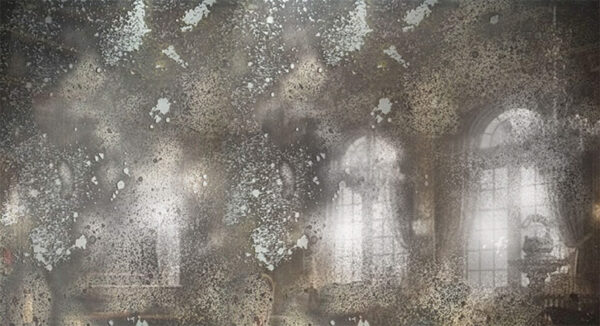 AM61 Pewter and Heavily Foxed Antique Mirror Glass