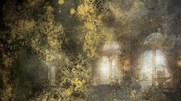 AM1 Luxury Gold Smoked Antique Mirror Glass