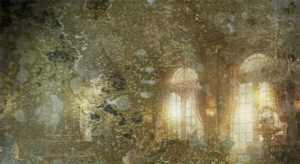 AM3 Luxury Antique Mirror Glass