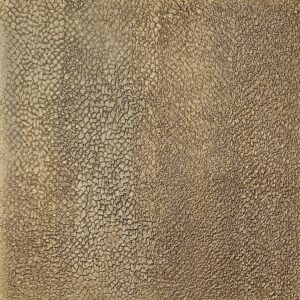 polished-plaster-wall-finishing-experts-uk.jpg