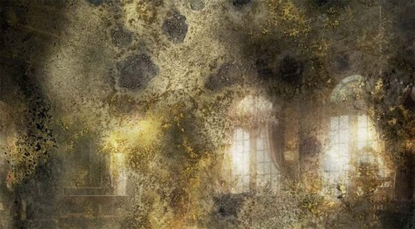 AM13 Gold Antique Mirror Glass