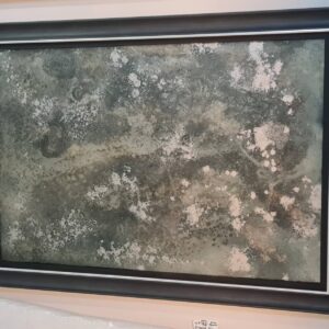 AM9 Luxury Decorative Antique Mirror Glass