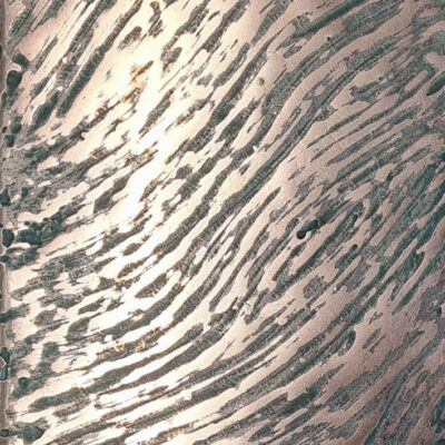 Pisa Liquid Metal Wall & Furniture Finish