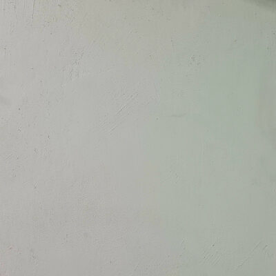 polished-plaster-breathable-wall-finishes-europe.jpg