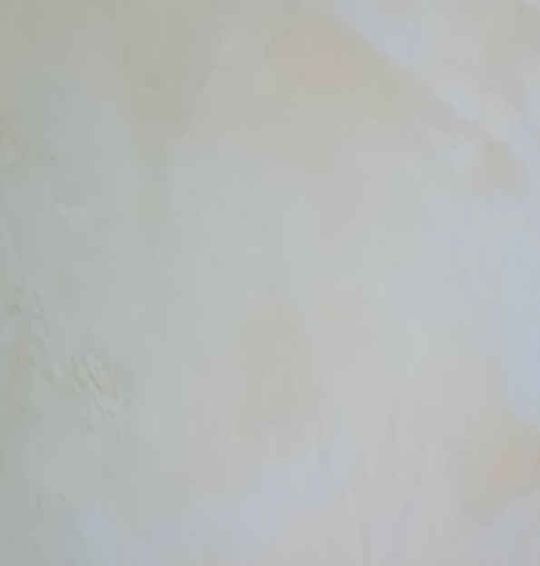 Spatulata Venetian Plaster (No.49)