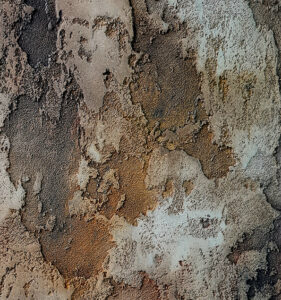 Textured Old Wall Plaster Finish (No.89)