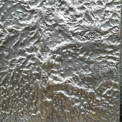 Champagne Gold Venetian Plaster Finish