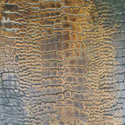 Coin Liquid Metal Wall Panel